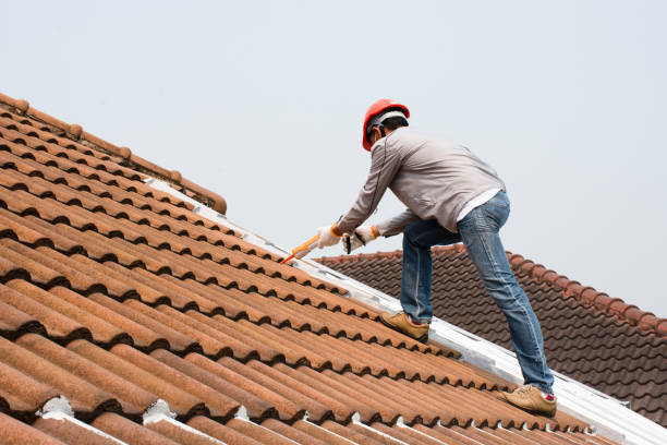 Best Roof Maintenance and Cleaning  in South Pittsburg, TN